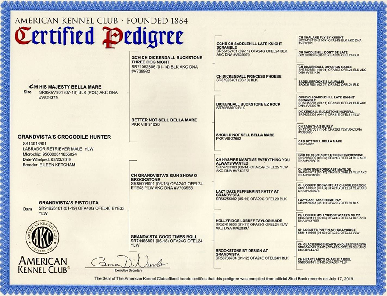 Lab Pedigree
